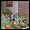 Easter Garden 