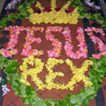 Corpus Christi Flower Petal Carpet 